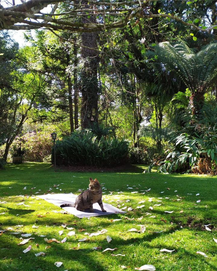 Casa Goldoni Gramado 4 Quartos 외부 사진
