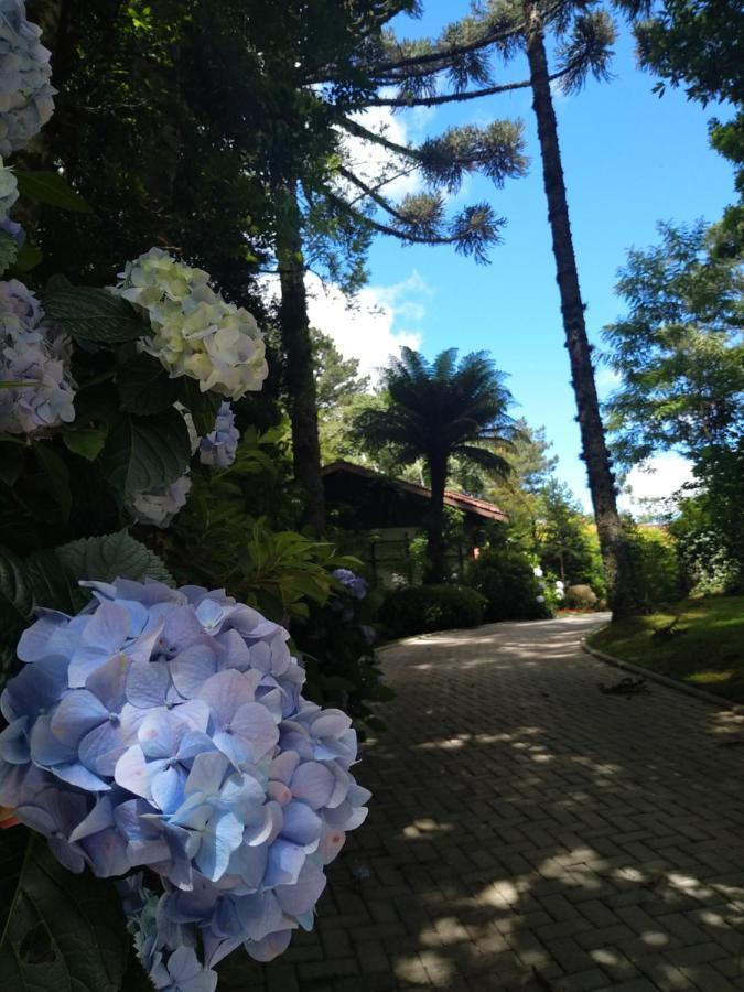 Casa Goldoni Gramado 4 Quartos 외부 사진